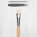 Pennello Rembrandt a setole lunghe 200