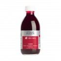 Tinta Nan King 250ml Lefranc Bourgeois