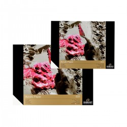 Bloc Acrílico Rembrandt 400G Casa Piera Barcelona