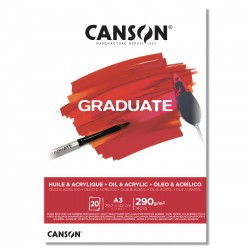 Bloc Graduate Canson Oli & Acrílic 290G 20F