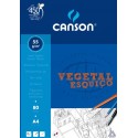 Bloc Vegetal Esquiço 55G 80F