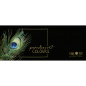 Caja Acuarelas Finetec Premium