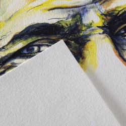 Papel C à Grain| Casa Piera Bellas Artes Barcelona