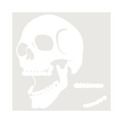 Plantilla Stencil 20x20