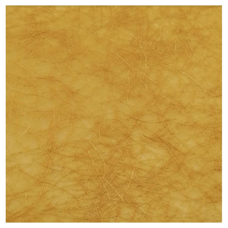 Carta Kinwashi 55G Canyam Awagami
