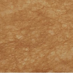 Papel Kinwashi 55G Canyam Awagami