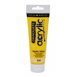 Acrílico Graduate Daler & Rowney 120 mL