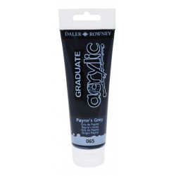 Acrílico Graduate Daler & Rowney 120 mL