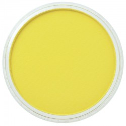 Torta Panpastel 9 mL