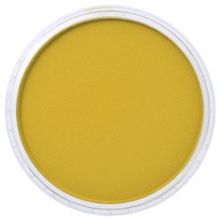 Pastel Panpastel 9 mL