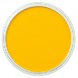 Torta Panpastel 9 mL