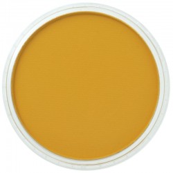 Torta Panpastel 9 mL
