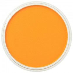 Torta Panpastel 9 mL