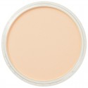 Pastel Panpastel 9 mL