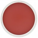 Pastel Panpastel 9 mL