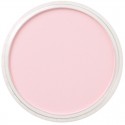 Pastel Panpastel 9 mL