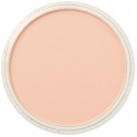Pastel Panpastel 9 mL