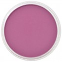 Pastel Panpastel 9 mL
