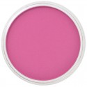 Pastel Panpastel 9 mL