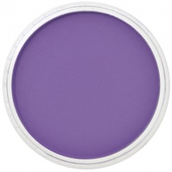 Pastel Panpastel 9 mL