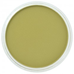 Pastel Panpastel 9 mL