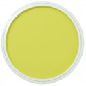 Pastel Panpastel 9 mL