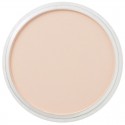 Pastel Panpastel 9 mL