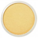 Pastel Panpastel 9 mL