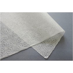 Papel Mizutamashi 16G Awagami