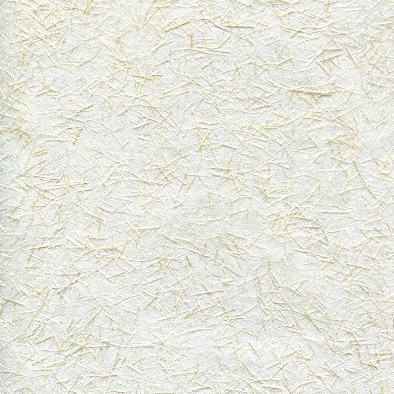 Paper Ginwashi 39G Awagami
