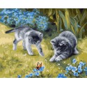 Set Pintar Por Números Ideyka Con Bastidor 40 x 50