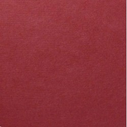 Papel Shin Inbe Canyam+Washi 105g