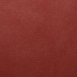 Paper Shin Inbe Canyam+Washi 105g