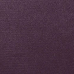 Carta Shin Inbe Canyam+Washi 105g