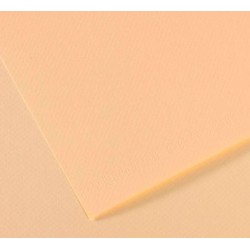Papel Mi-Teintes Canson 160G