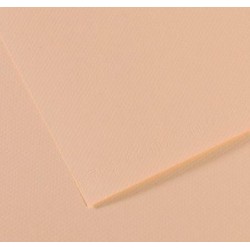 Papel Mi-Teintes Canson 160G