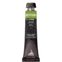 Pintura Restauro 20ml Maimeri