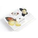 Colouring Cards Pepin