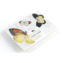 Colouring Cards Pepin