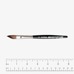 Pinzell Da Vinci Casaneo XS 987