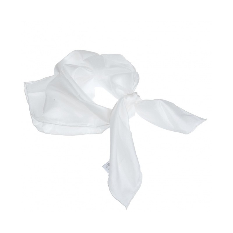 Pañuelo Seda H Dupont