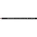 Lapiz Carbon Charcoal Pencil unidad